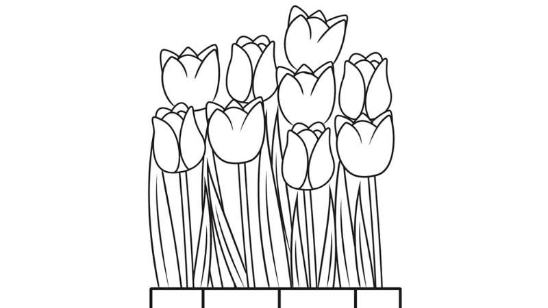 Bé yêu mê mẩn với tranh tô màu hoa tulip đẹp sinh động