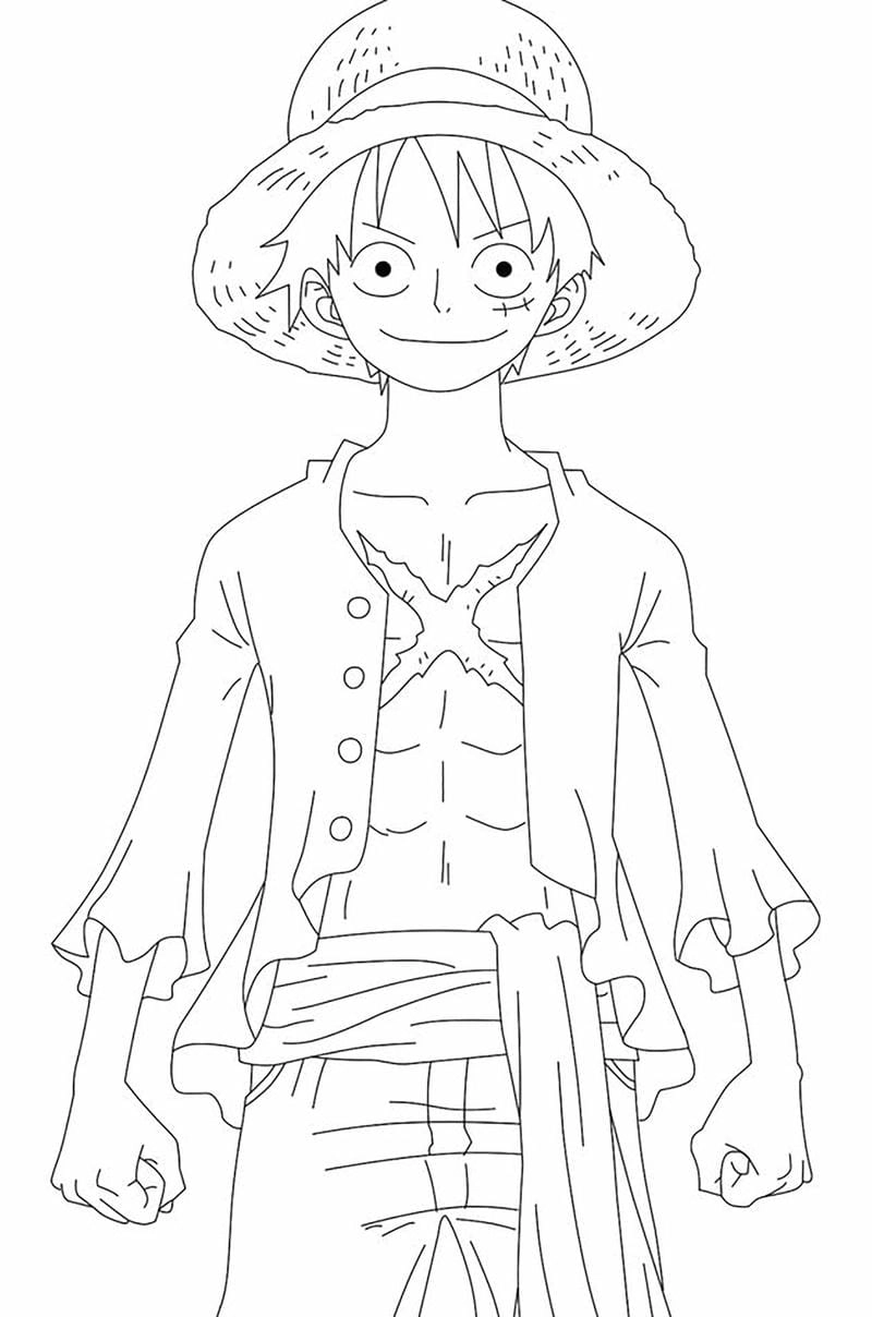Khám phá thế giới luffy tô màu sinh động