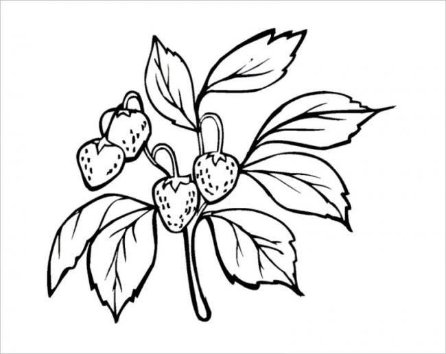 Bộ sưu tập hình tô màu quả dâu tây ngộ nghĩnh