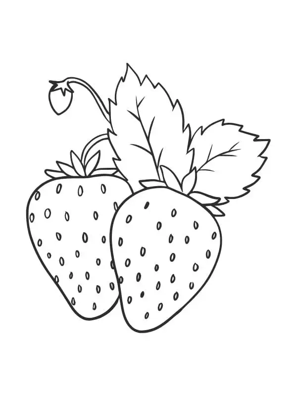 Gợi ý hoạt động sáng tạo tô quả dâu tây cho bé