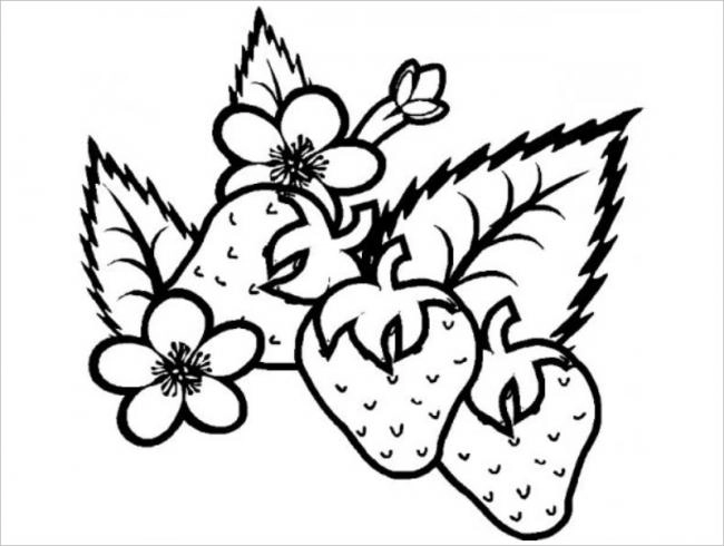 Chia sẻ ngay quả dâu tây tô màu cực xinh