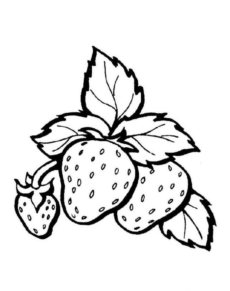 Tranh tô màu quả dâu tây đẹp cho bé học tô