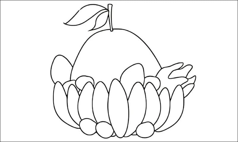 Tô màu tranh ngũ quả giúp bé yêu thêm tết