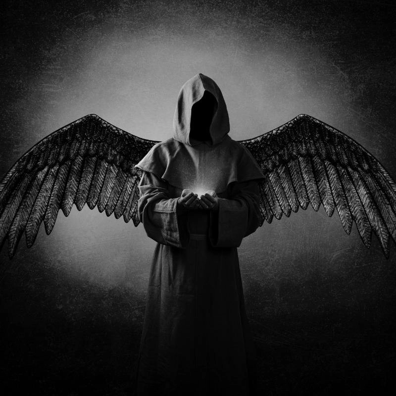 Khám phá hình ảnh thần bí cực kỳ cuốn hút