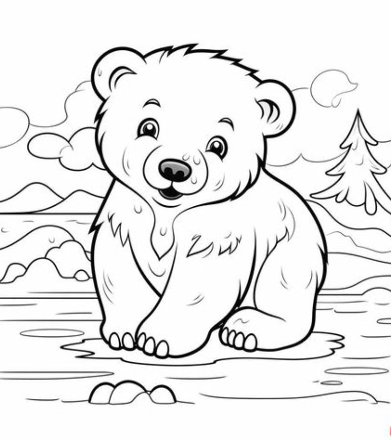 Tranh tô màu con gấu là như thế nào?