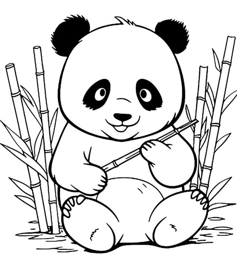 Thư giãn cùng tranh tô màu con gấu dễ thương