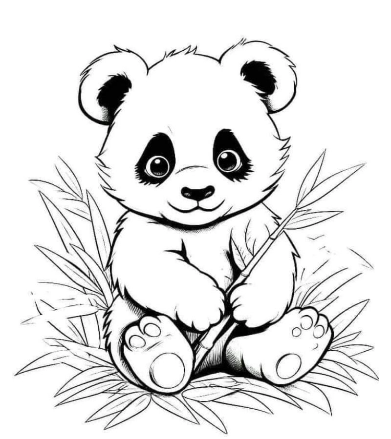 Tải ngay tranh tô màu con gấu cho bé