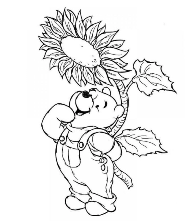 Khám phá tranh tô màu con gấu Pooh nổi tiếng