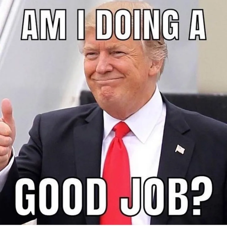 Hướng dẫn chi tiết how to get a meme job trong ngành meme jobs