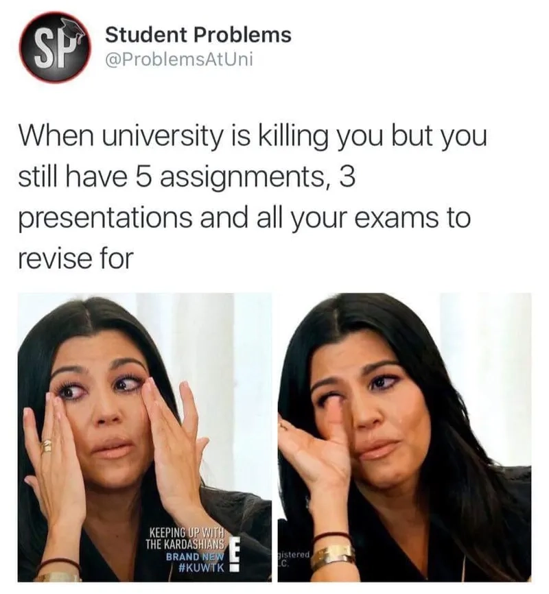 Thử xem college memes hài hước tại meme university