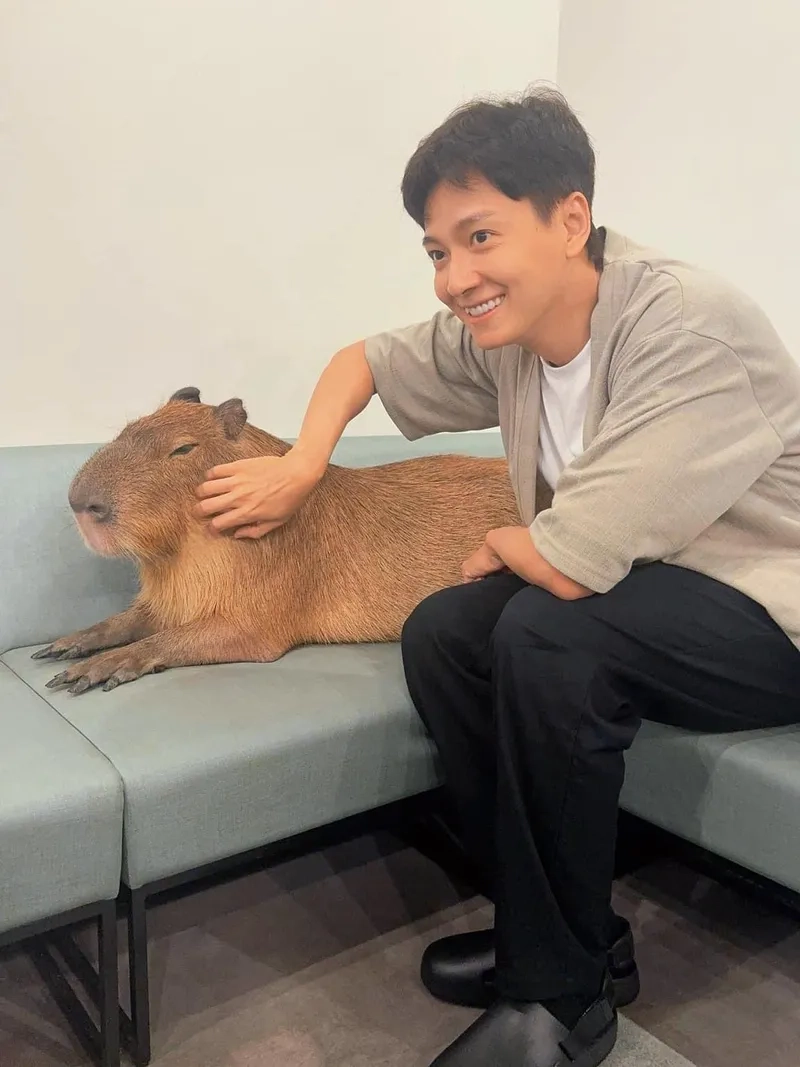 Tìm hiểu chi tiết Ngô Kiến Huy tiểu sử đầy thú vị