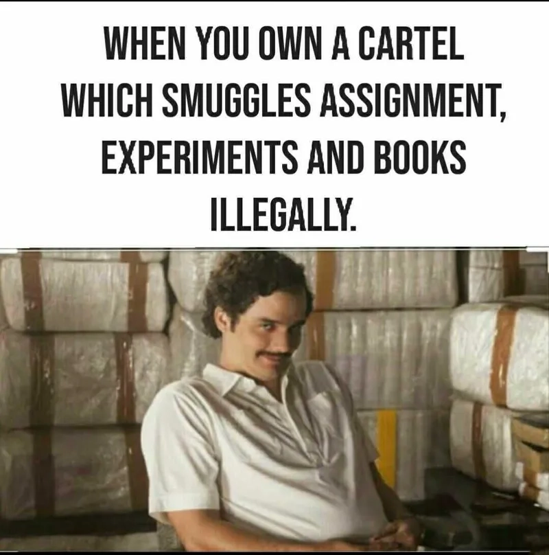 Cảm xúc trầm lắng cùng sad pablo escobar meme cô đơn