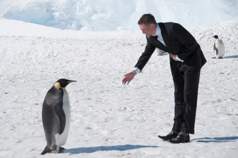 Rico penguin meme làm nổi bật khoảnh khắc vui penguin meme