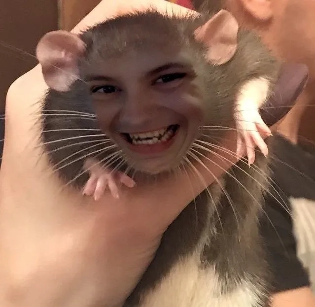 Học chiêu từ master splinter meme thông thái và hài hước