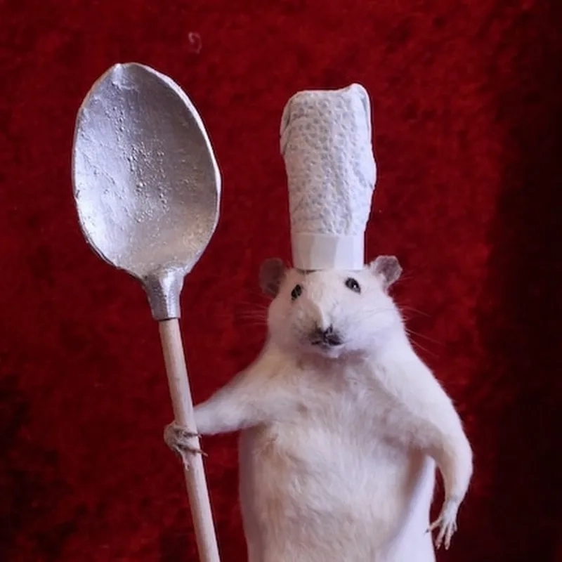 Thưởng thức funny rat meme vui nhộn mọi lúc mọi nơi