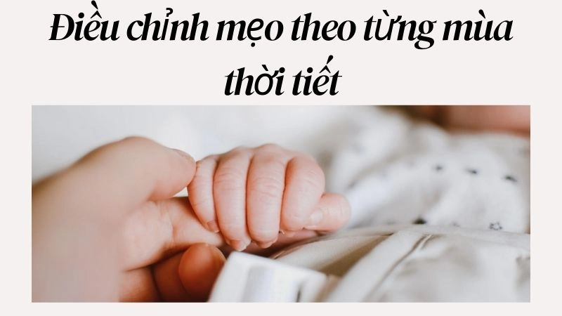 Điều chỉnh mẹo theo từng mùa thời tiết