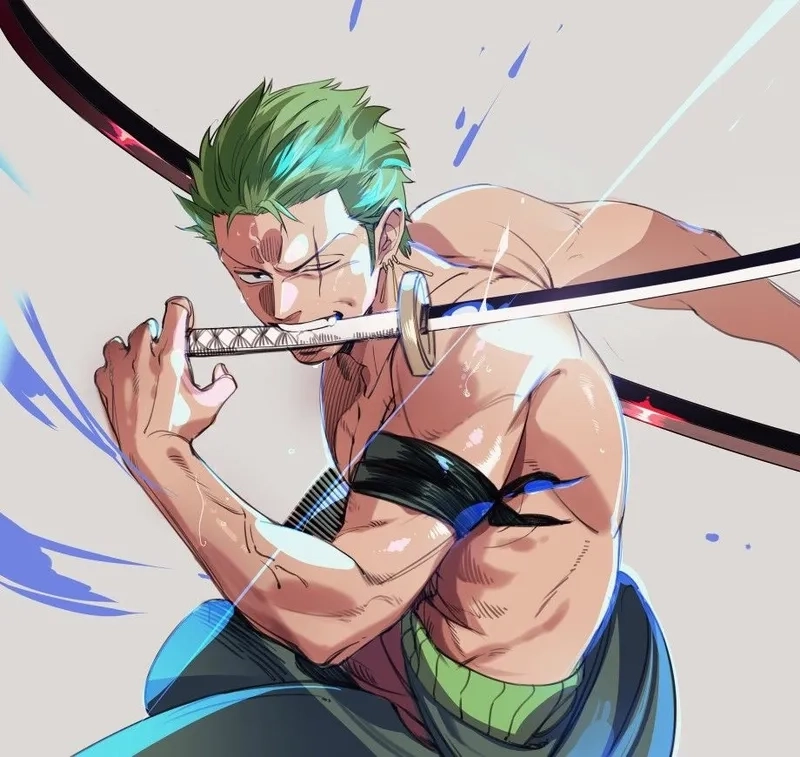 Zoro zoro lặp lại ngầu chất kiếm sĩ đỉnh cao