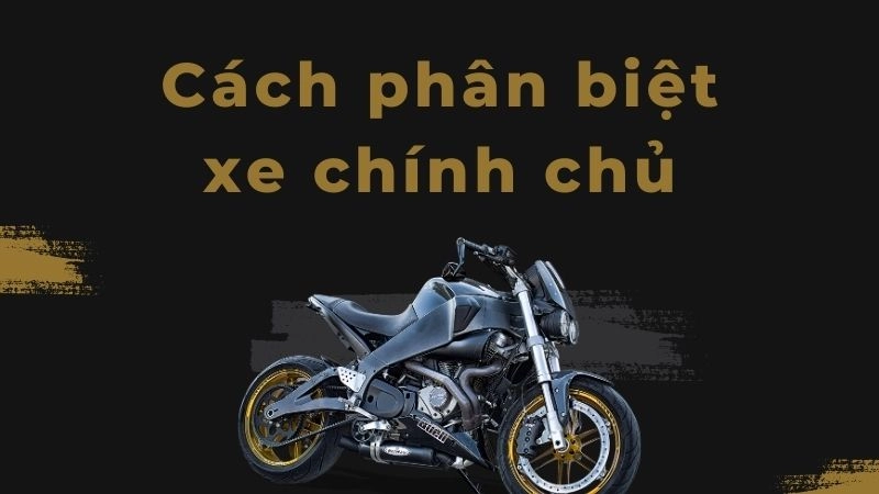 Kiểm tra sự trùng khớp trên giấy tờ đăng ký