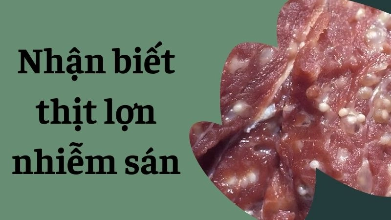 Quan sát các hạt trắng lạ ẩn trong thớ thịt