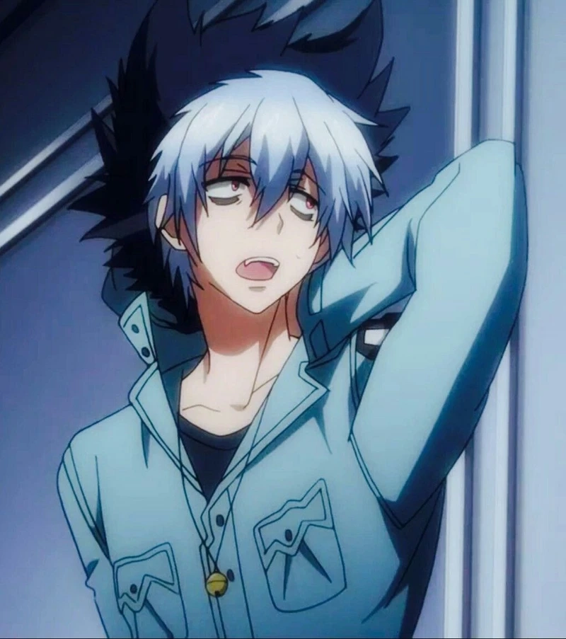 Phong cách độc đáo của kuro phong cách ghibli cực cuốn