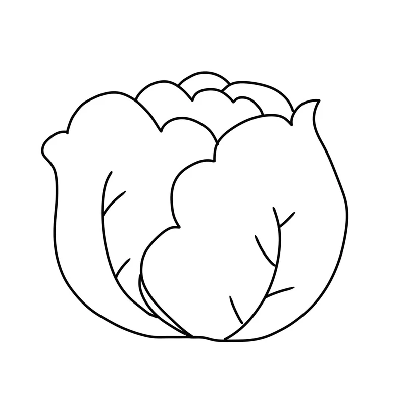 Tuyển chọn tranh tô màu cây bắp cải cho bé 3 tuổi đơn giản