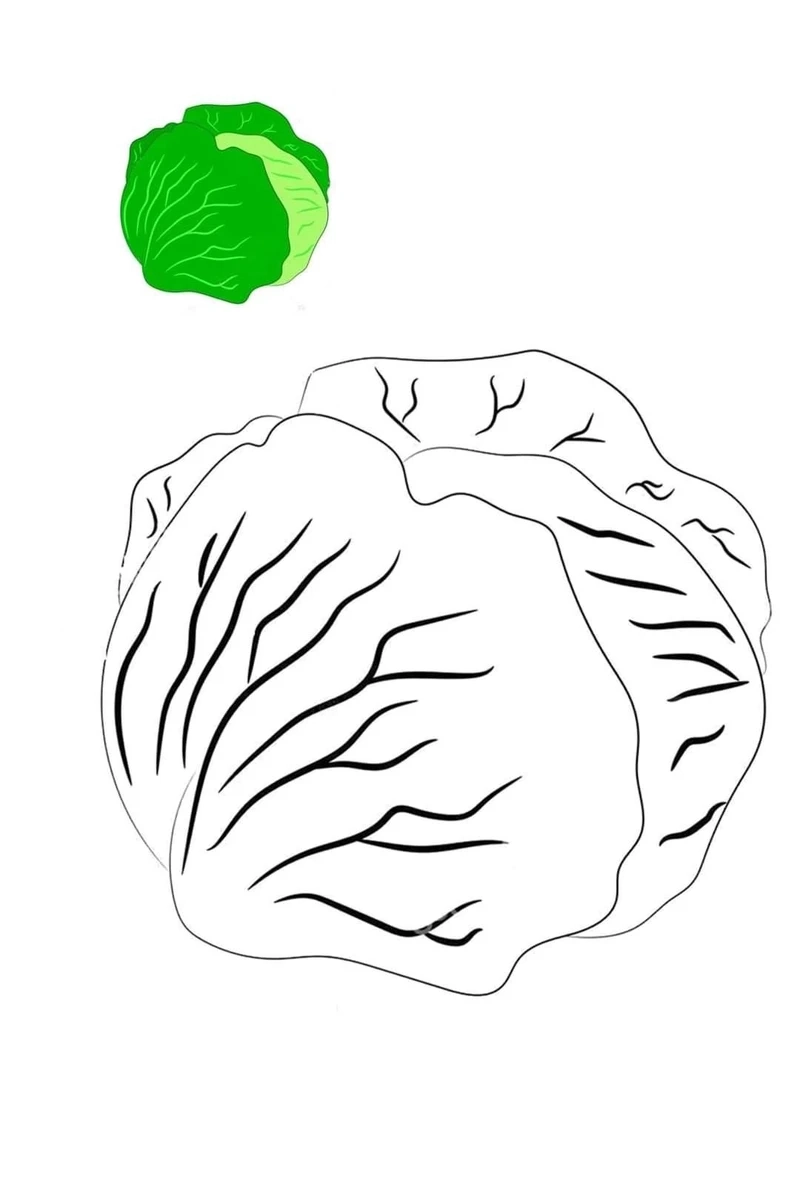 Bé mê mẩn tranh tô màu cây bắp cải đáng yêu cực xinh