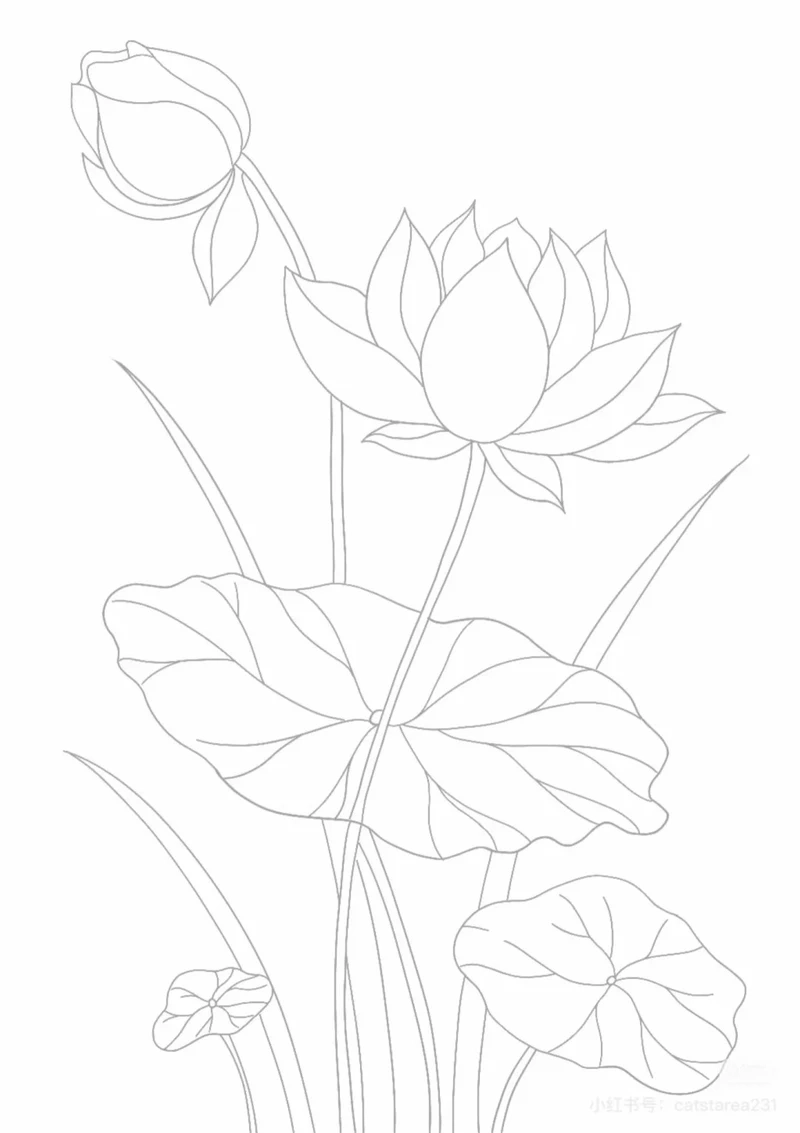 Tổng hợp tranh tô màu hoa sen đơn giản cho bé tập tô