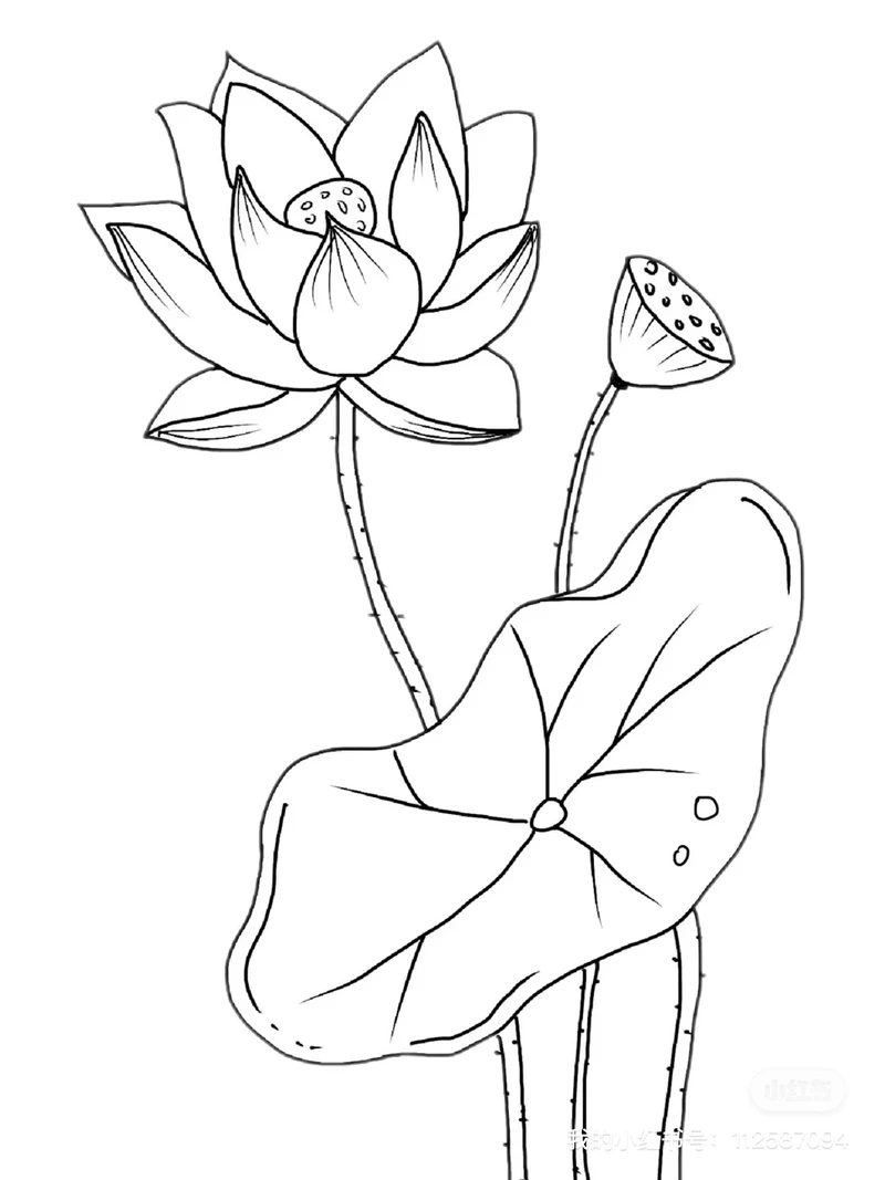 Gợi ý tranh tô màu hoa sen cho trẻ mầm non dễ tô