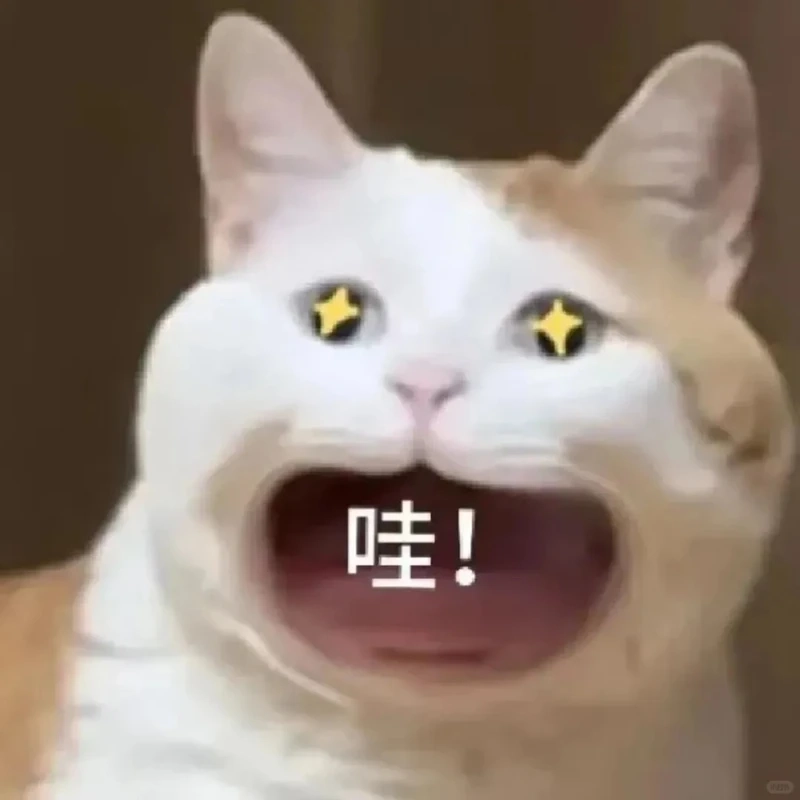 Wow meme là một dạng ảnh meme thể hiện biểu cảm ngạc nhiên